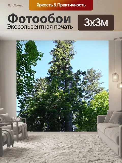 Фотообои Деревья