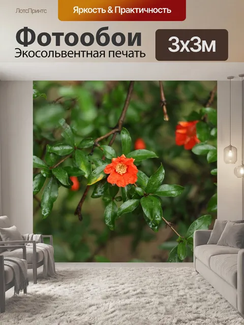 Фотообои Цветы