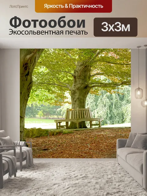 Фотообои Shady сиденья