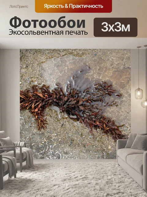 Фотообои Бурые водоросли в морской скале