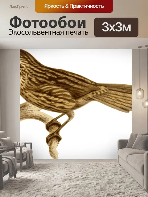 Фотообои Птица