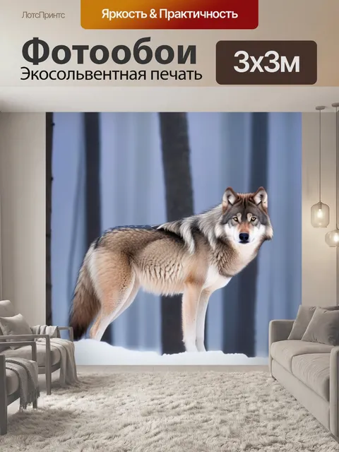 Фотообои в лесу