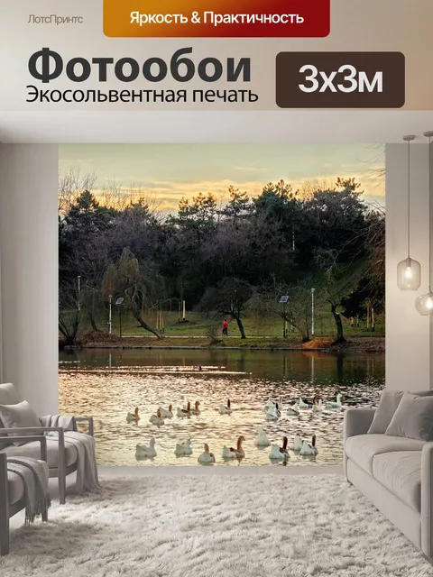 Фотообои Птицы