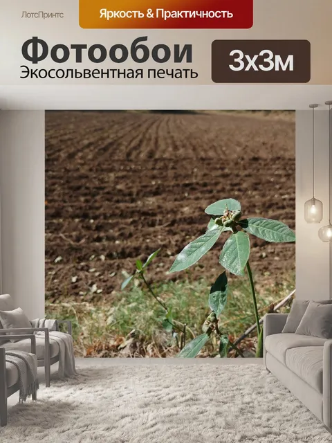 Фотообои Природа