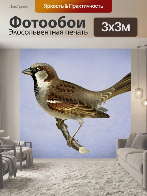 Фотообои Винтажная художественная иллюстрация пти