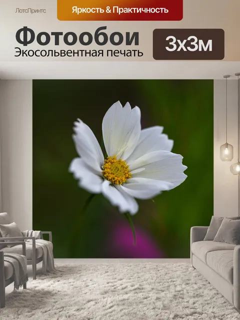 Фотообои Космос