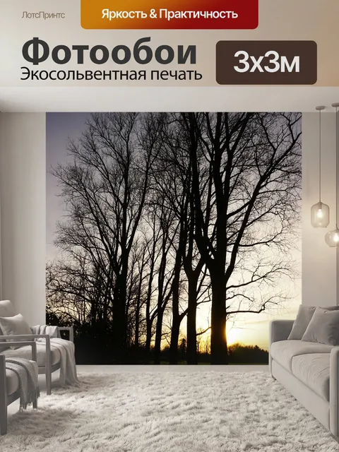 Фотообои Солнце