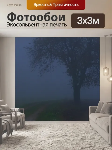 Фотообои Туман