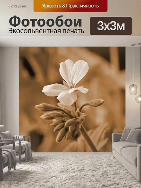 Фотообои Винтажный эффект герани цветок
