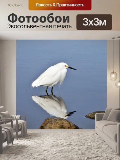 Фотообои Снежный цапля