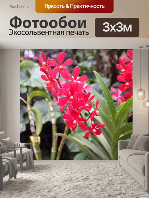 Фотообои цветок орхидеи в Сингапуре
