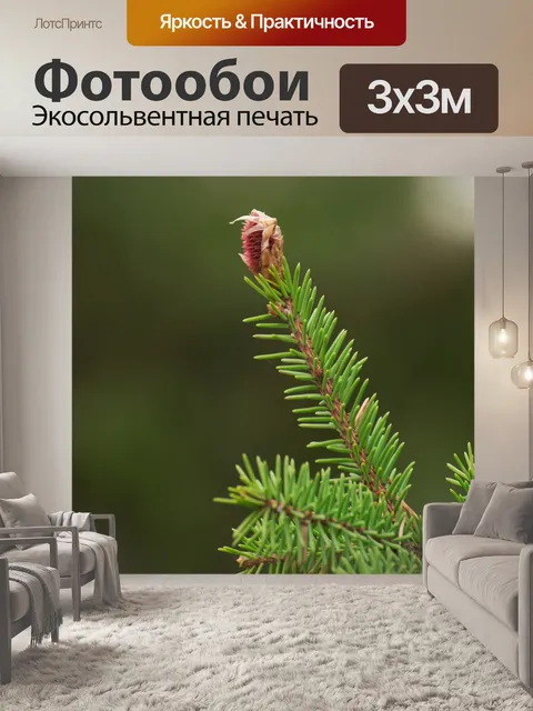 Фотообои Природа