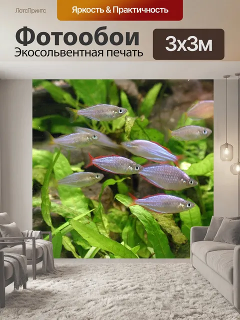 Фотообои Рыбы
