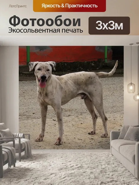Фотообои Природа