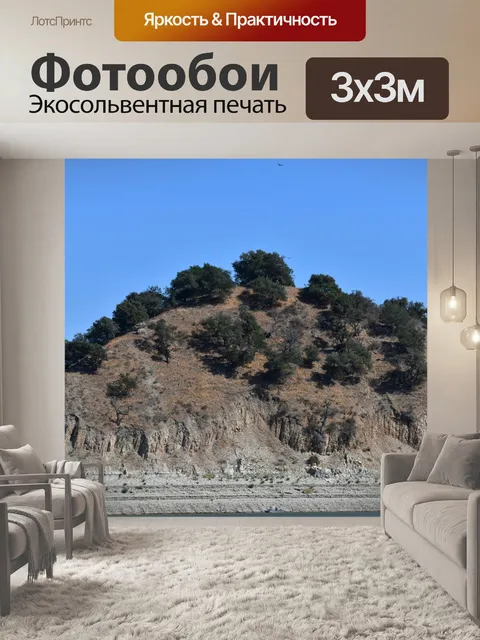 Фотообои Деревья на холме