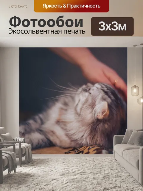 Фотообои Ласковая кошка