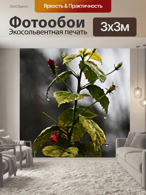 Фотообои Дождь