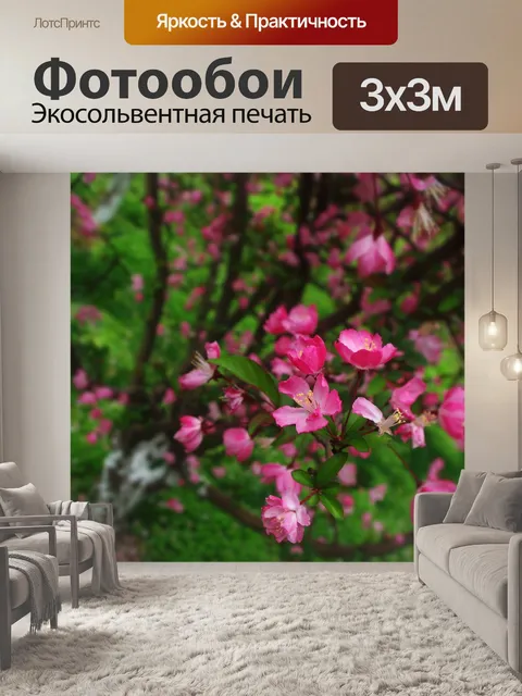 Фотообои Цветок