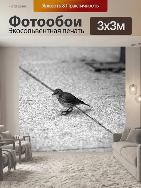 Фотообои Воробей прыгает на землю