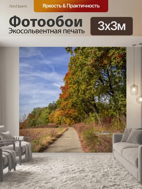 Фотообои Осенний лес