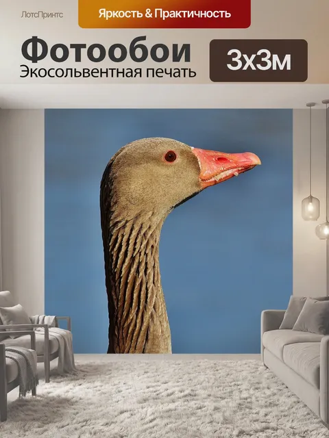 Фотообои Гусь