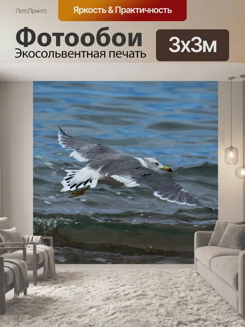 Фотообои Животное