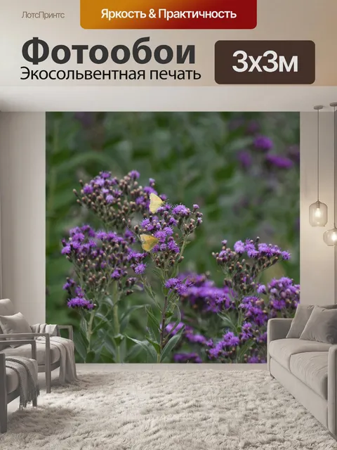Фотообои Цветение фиолетовых цветов