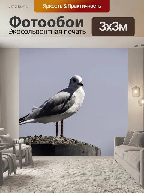 Фотообои Природа