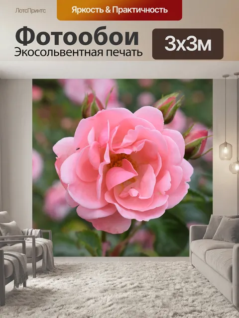 Фотообои Рось
