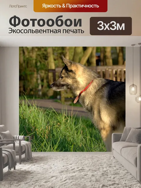 Фотообои Что то