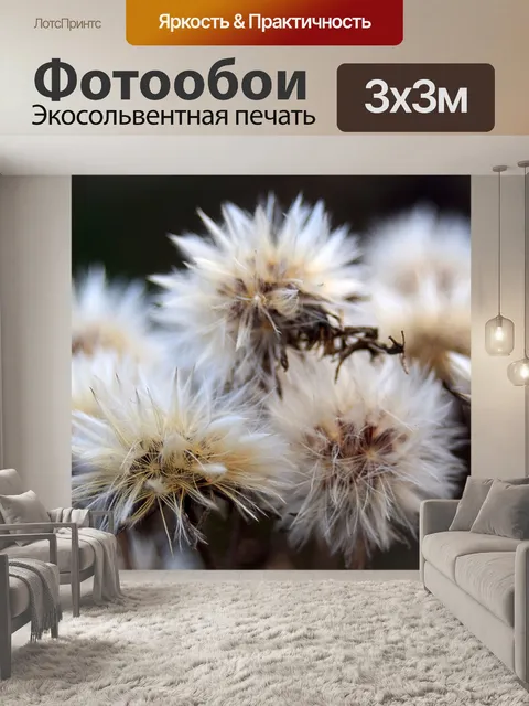 Фотообои Природа