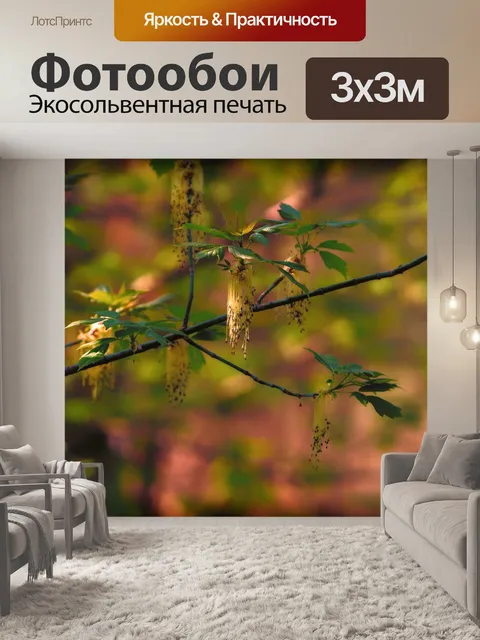 Фотообои Весна