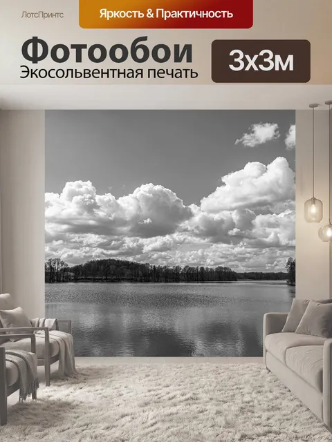 Фотообои Черно-белый