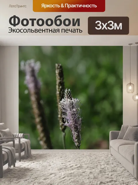 Фотообои Цветы