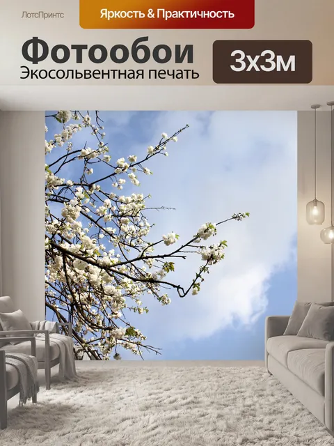 Фотообои Фон
