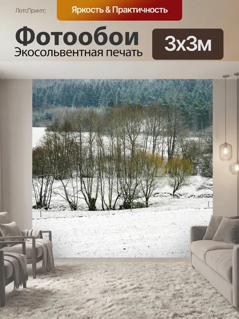 Фотообои Снег