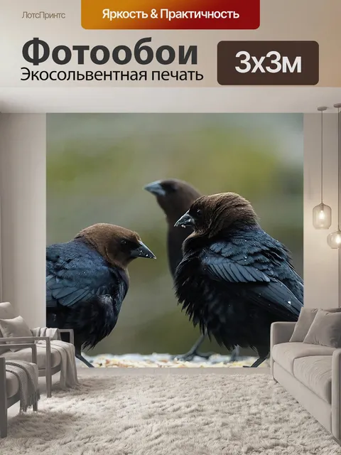 Фотообои Птицы