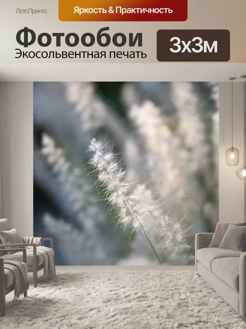 Фотообои Декоративные травы