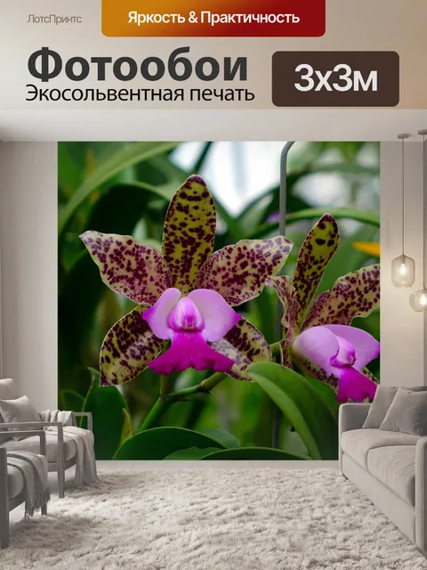 Фотообои Орхидеи