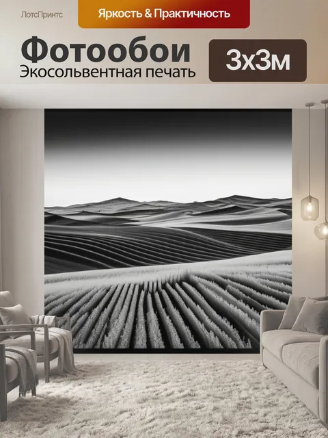 Фотообои с декором чернобелый