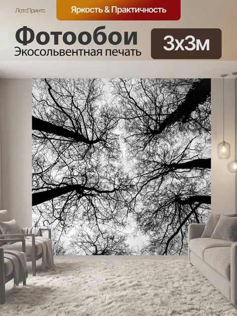 Фотообои Деревья
