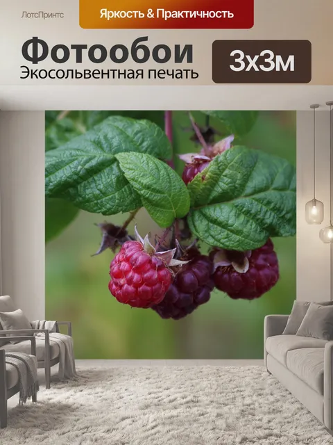 Фотообои Лист