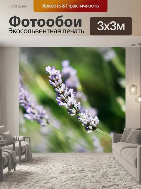 Фотообои лаванда