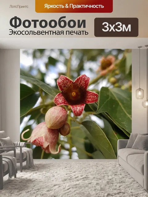 Фотообои Дерево