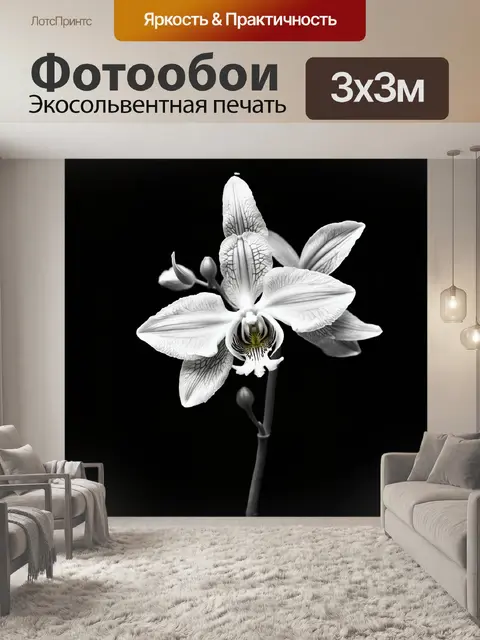 Фотообои бабочки орхидеи, трепещущие вокруг цветка, в вихре цвета и света, снятые на макрообъектив, с эффектом…