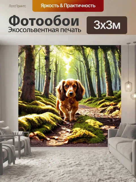 Фотообои кокер-спаниель исследует лесную глубь, его любопытный взгляд устремлен на тропинку, усыпанную листвой