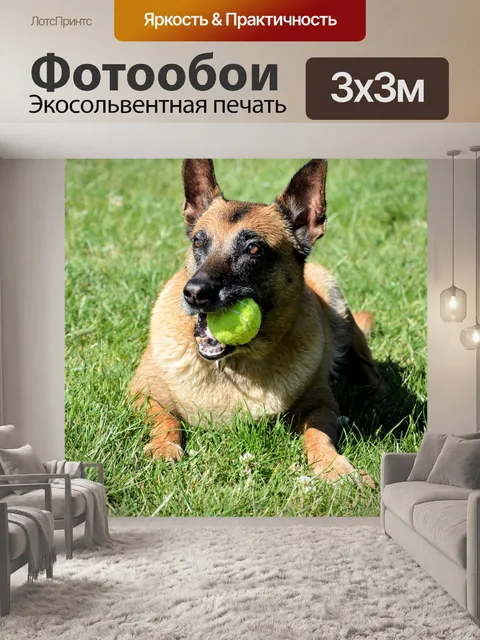Фотообои Мне нравится