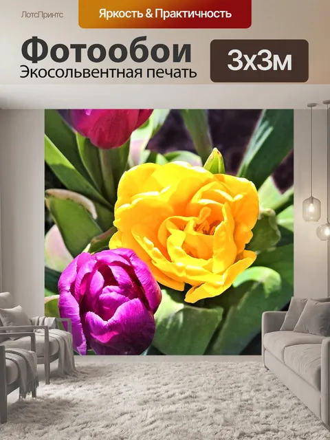 Фотообои Цветок