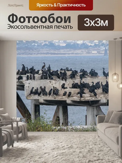 Фотообои Птицы бакланов