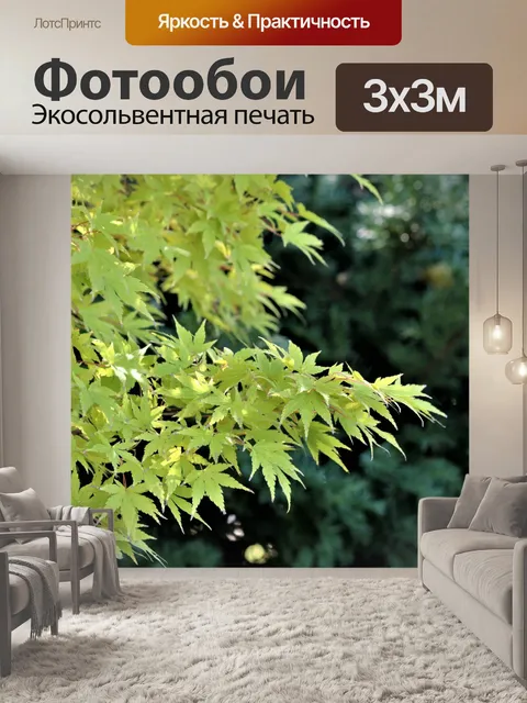 Фотообои Осенние листья